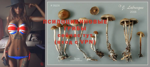 дурь Абинск