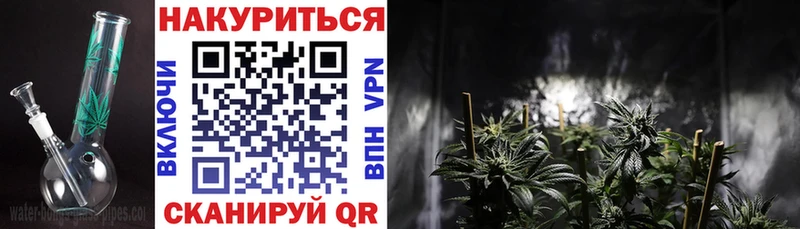 Бошки марихуана тримм  где продают   площадка Telegram  Нижнекамск 